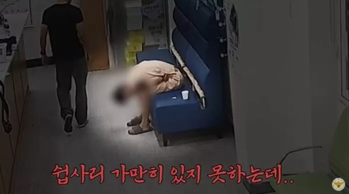 인사이트