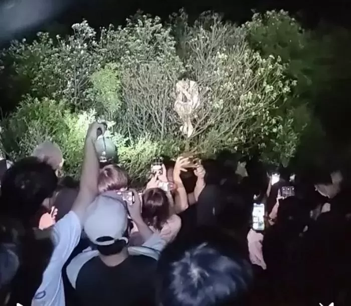 인사이트