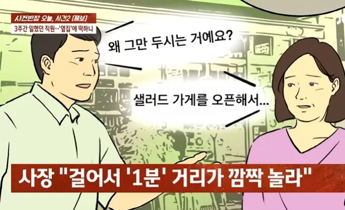 인사이트
