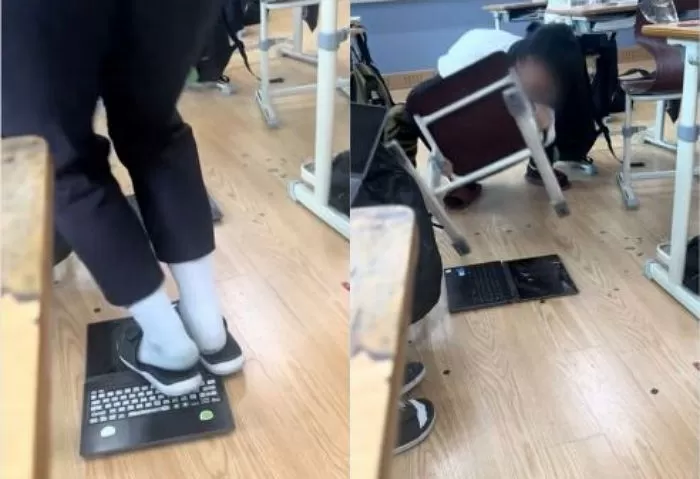 인사이트