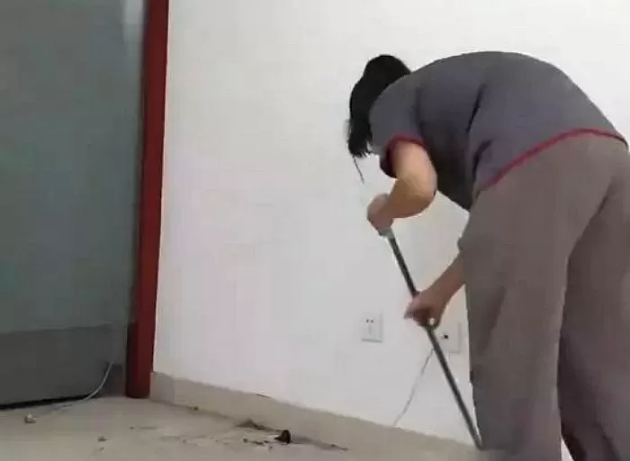 인사이트