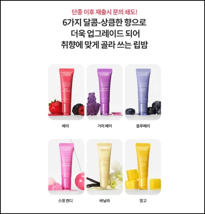 인사이트