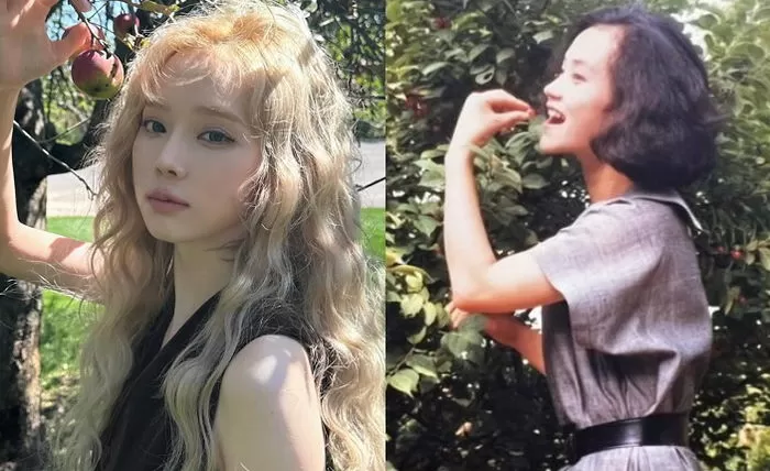 인사이트