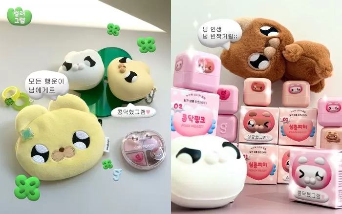 인사이트