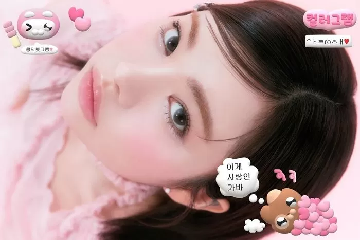 인사이트