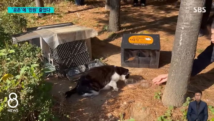 길냥이 돌보는 '캣맘'이 된 구청... 고양이집 만들고 보온 물그릇까지 배치 (영상)