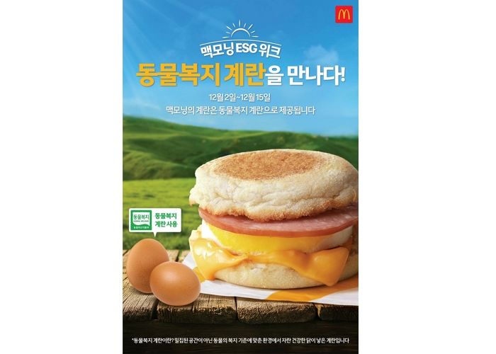 신선함+든든함 다 챙겼다... 맥도날드, 2주간 동물복지계란 활용한 ‘맥모닝’ 판매