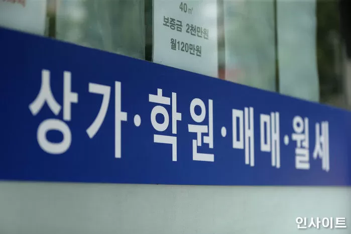 기사의 이해를 돕기 위한 자료 사진 / 사진=인사이트 