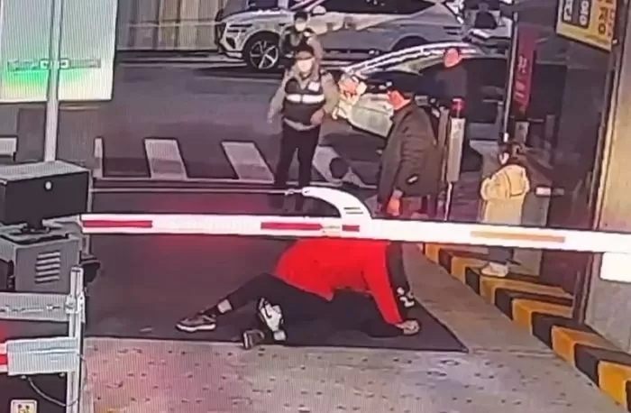 인사이트