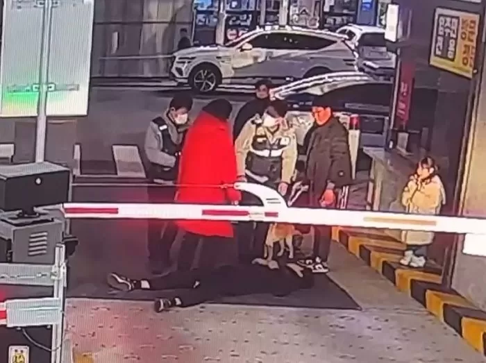 인사이트