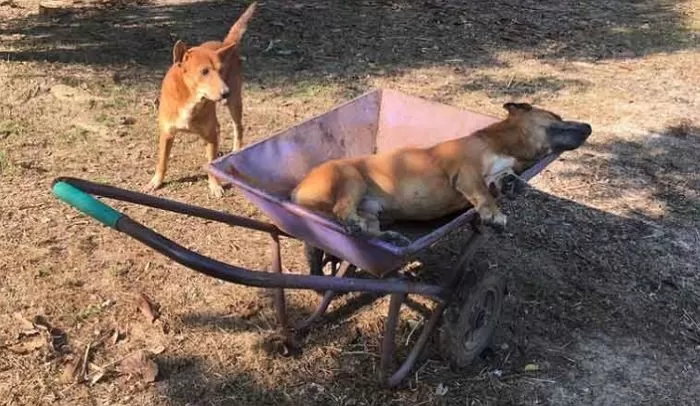 인사이트