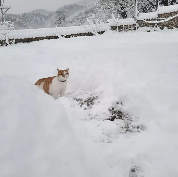 온라인 커뮤니티