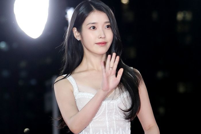 “아이유 CIA에 신고했다” 인증에 이어... ‘탄핵찬성 블랙리스트’에 이름 올라간 연예인들