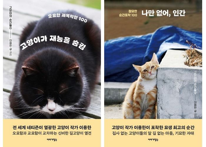 [신간] ‘고양이가 재능을 숨김’, ‘나만 없어, 인간’