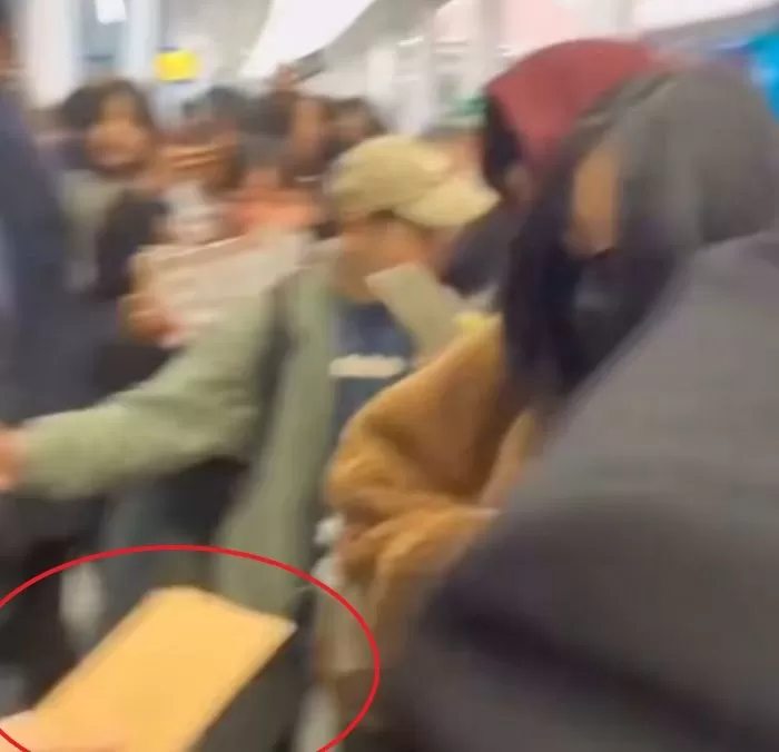 인사이트