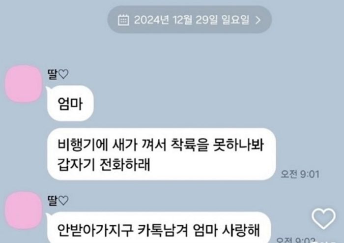 “엄마, 착륙 못하나봐 갑자기 전화하래... 사랑해” ‘제주항공 참사’ 희생자의 마지막 메시지