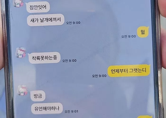 인사이트