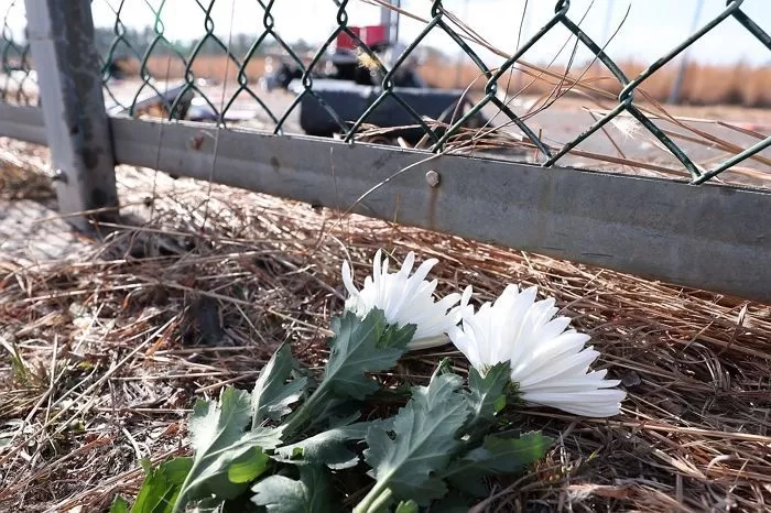 30일 오후 전남 무안국제공항 제주항공 여객기 사고 현장에 국립한국교통대학교 비행훈련원 정비팀이 남긴 국화꽃이 놓여져 있다. / 뉴스1