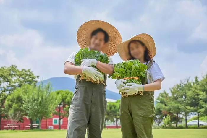 기사의 이해를 돕기 위한 자료 사진 / gettyimagesBank