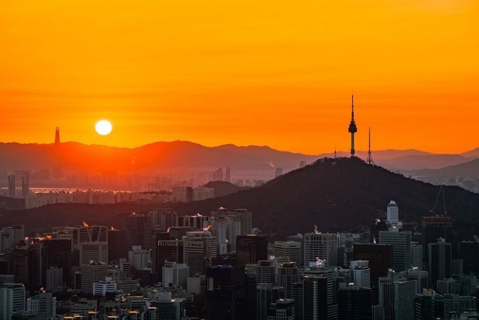 내일부터는 ‘푸른 뱀의 해’... 2025년에 달라지는 제도들