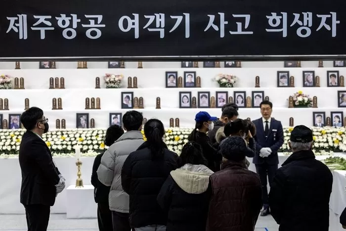 뉴스1