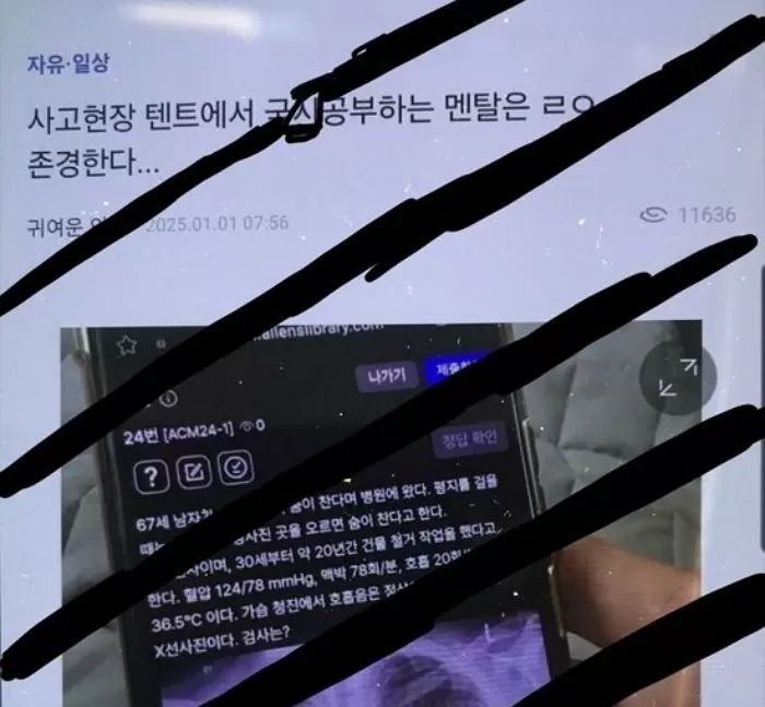 인사이트
