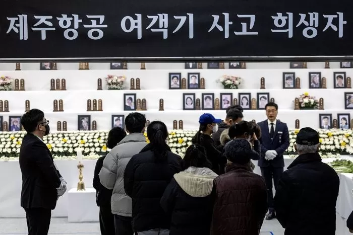 뉴스1