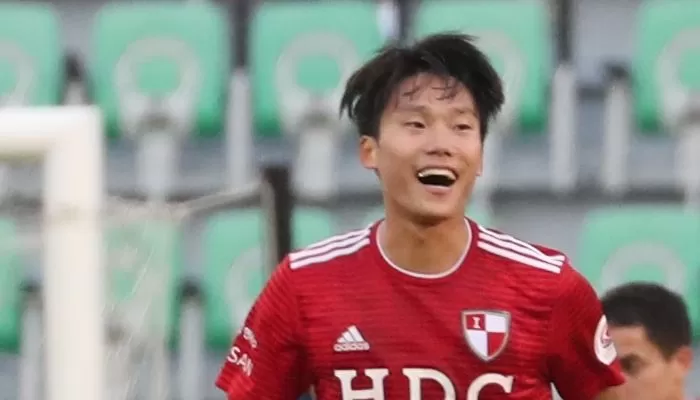 인사이트