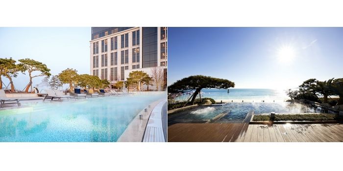 파라다이스 호텔앤리조트, 신년 맞이 ‘파라다이스 멤버스 데이’ 프로모션 진행