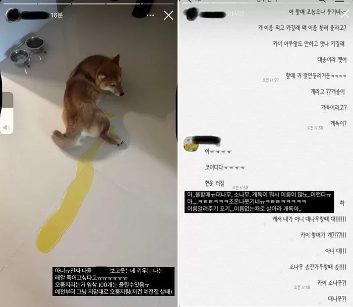 A씨 인스타그램 스토리 / 온라인 커뮤니티