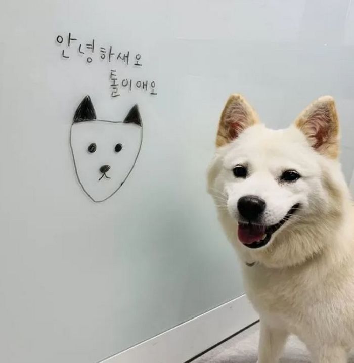 박지원 “김건희 감옥 가면 반려견 토리 입양” 발언에... 김웅 “문 전 대통령이 버린 개나”