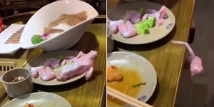 영상식당 이미지