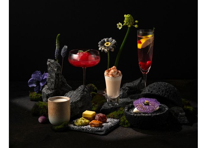 고요한 숲속에 온 듯, 잠시 멈춤의 시간... 티퍼런스, ‘포레스트’ 테마 티마카세·티코스 리뉴얼 오픈