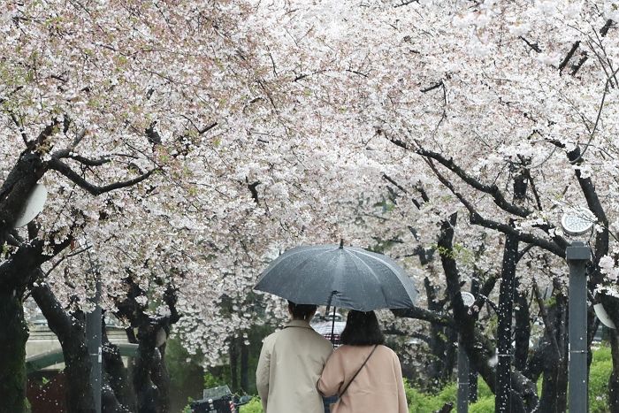 “황소자리는 연인 옆에 착 붙어 있도록” 별자리로 보는 2월 마지막주 당신의 운세