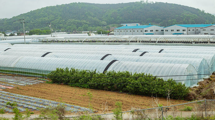 빽햄·감귤 함량 미달 이어... 백종원 더본코리아, 건축법 위반 논란