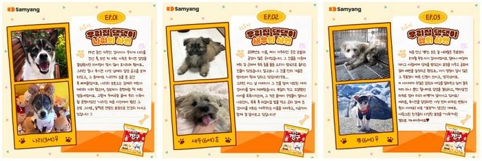 삼양식품, ‘삼양 흰둥이 짱구’ 출시 이후 유기견 관련 캠페인 앞장선다