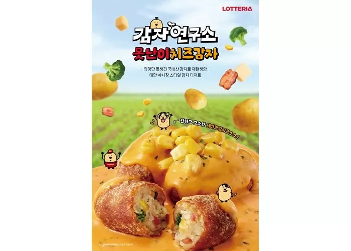 인사이트