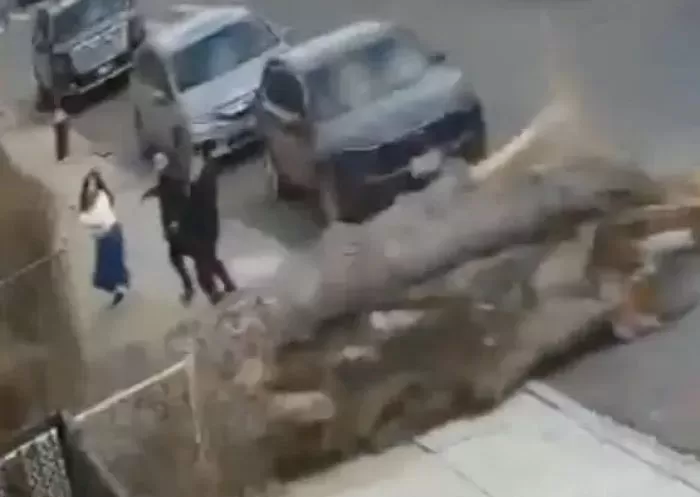 인사이트