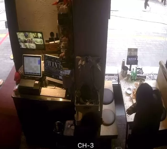 인사이트