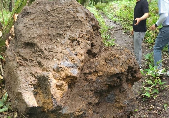 한라산서 12시간동안 ‘4톤’짜리 자연석 캐낸 70대... 훔쳐 달아나다 등산로에 떨어뜨려