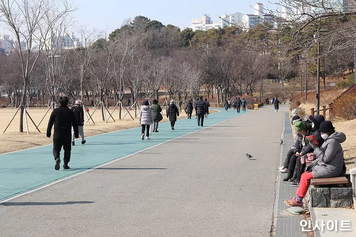 인사이트