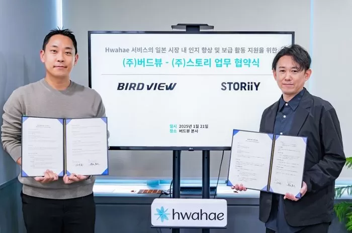 인사이트