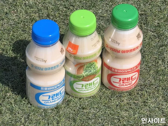 인사이트