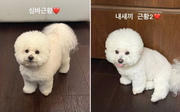 “파리에서 뭐했더라? 가로” 김수현 저격 논란 박서준이 인스타에 올린 사진