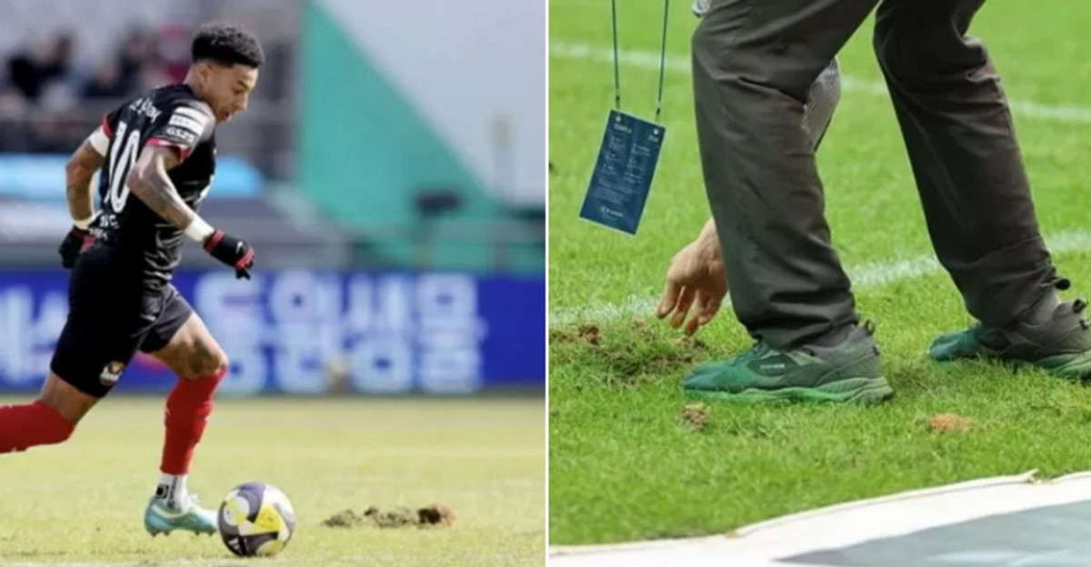 논두렁 이미지
