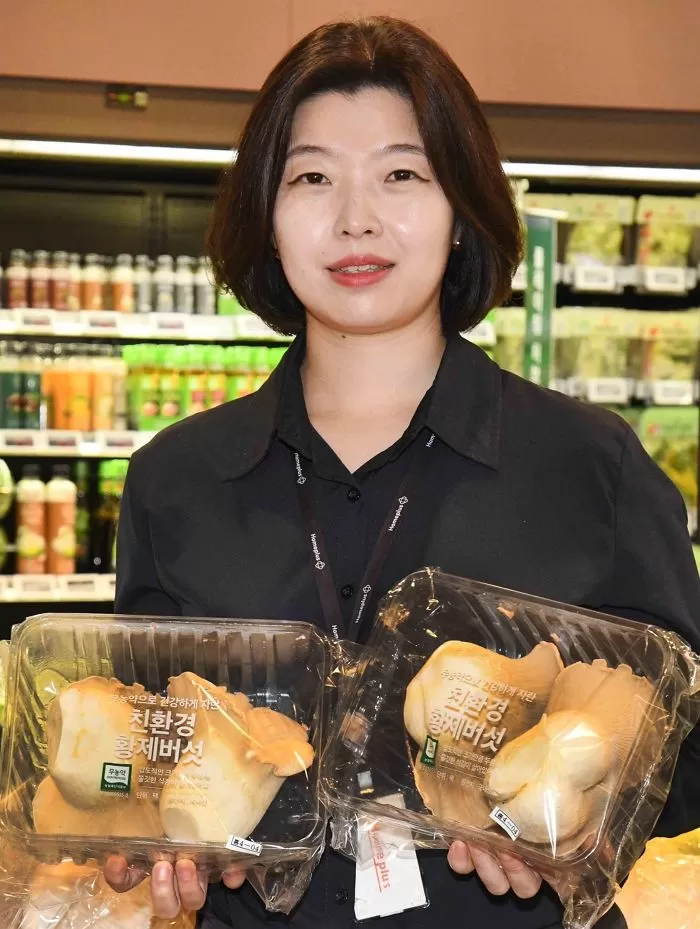 인사이트