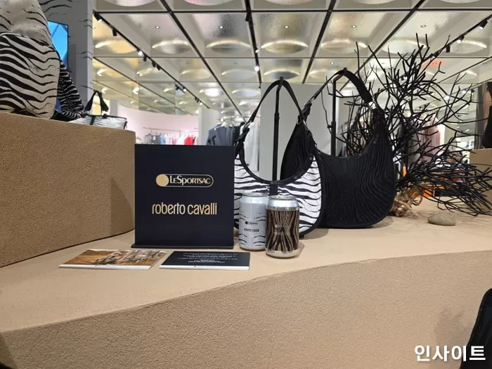 인사이트