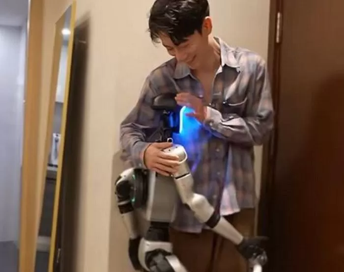 인사이트