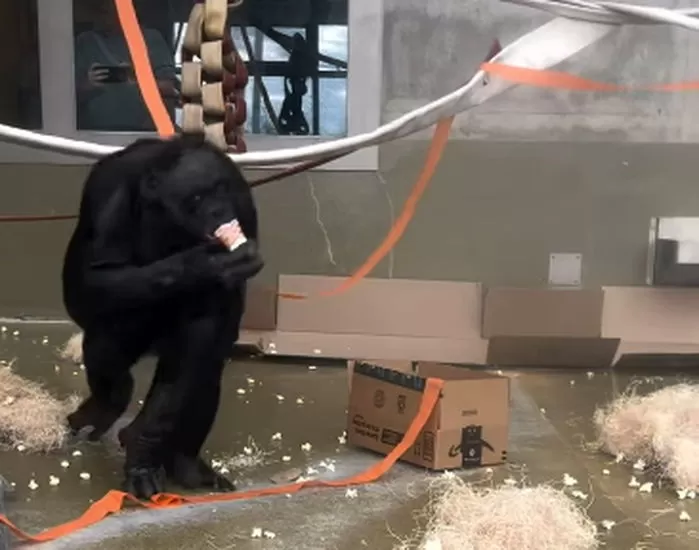 인사이트