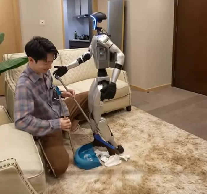 인사이트